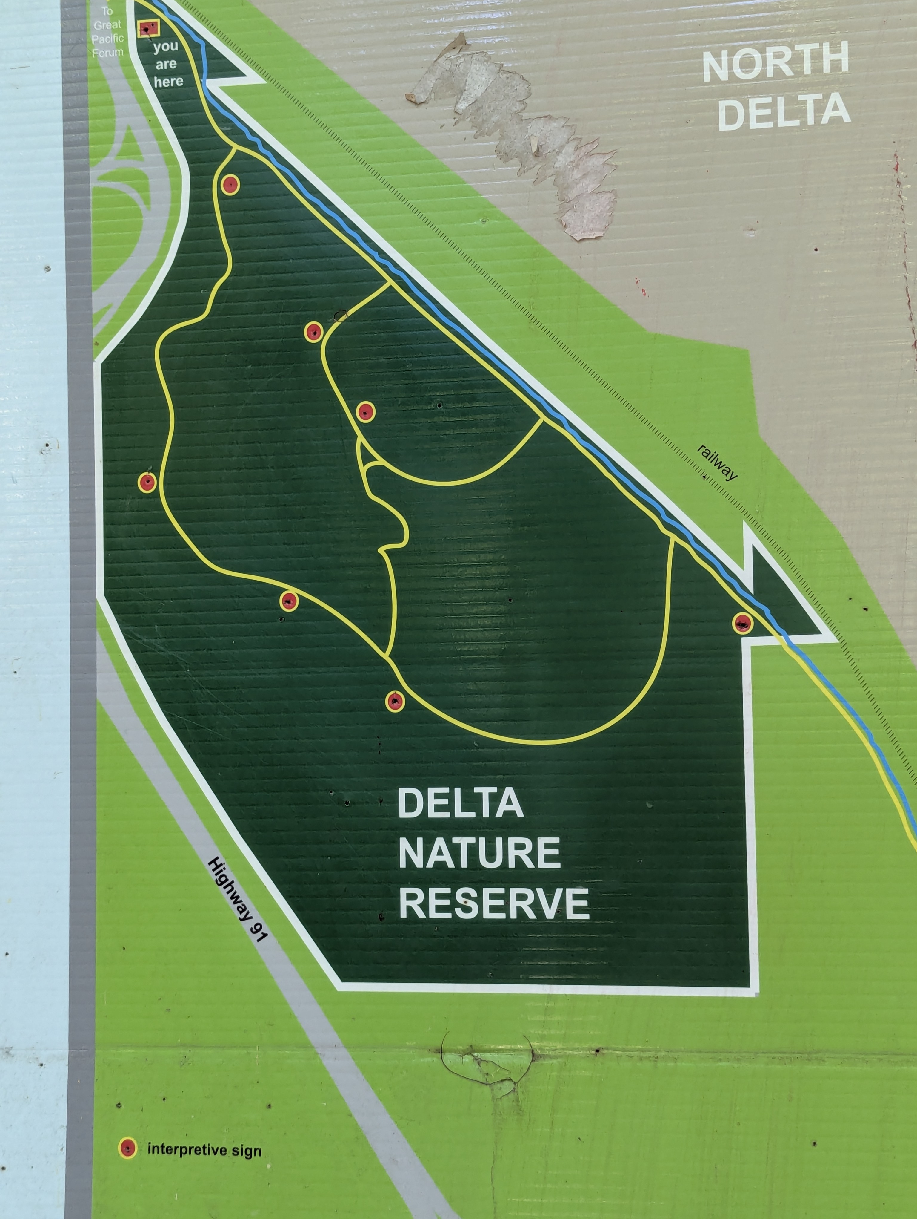 Birthday Trip to Canada, Delta, Burns Bog, Vancouver, British Columbia